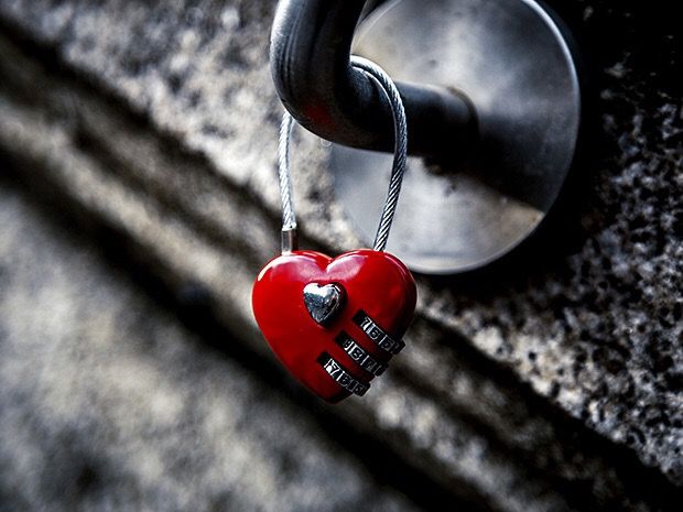 Love and Necessities — photo 2