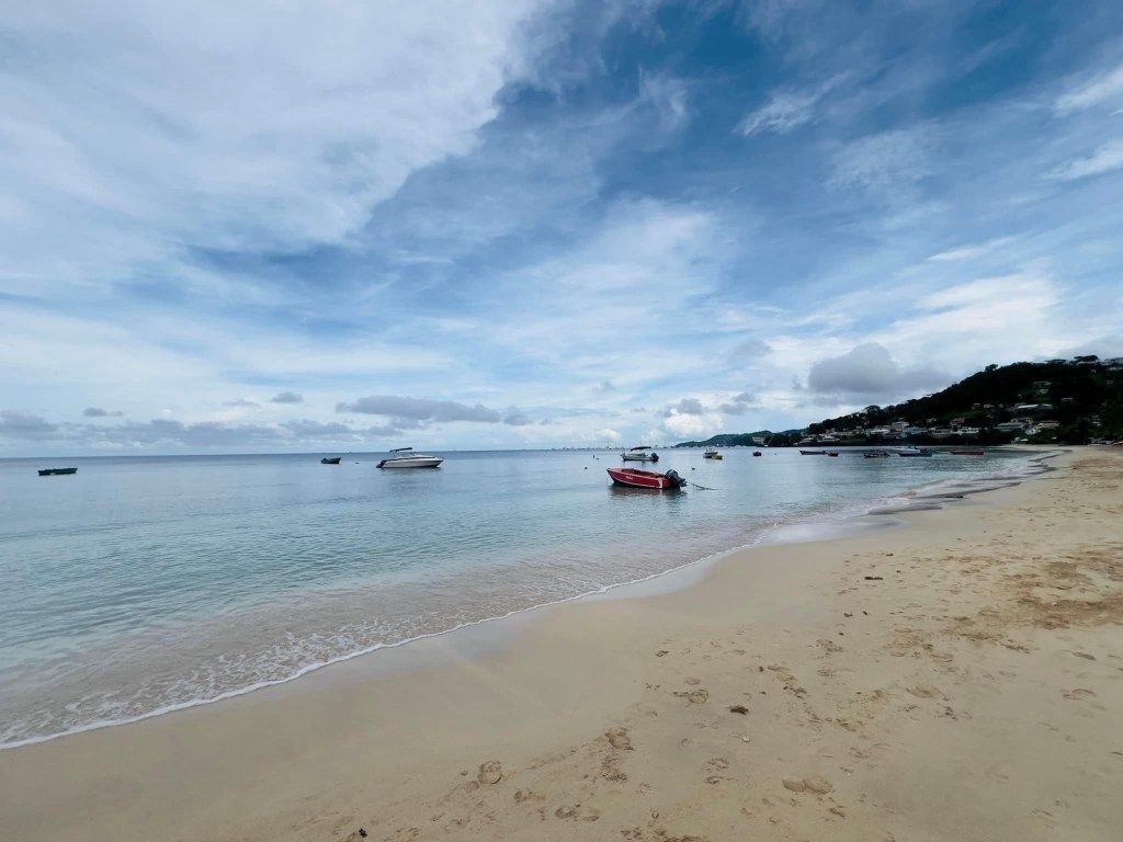 Discovering Grenada: My Birthday Adventure — photo 5